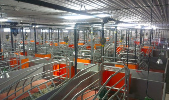 Chú Ý Khi Xây Dựng Chuồng Trại Heo