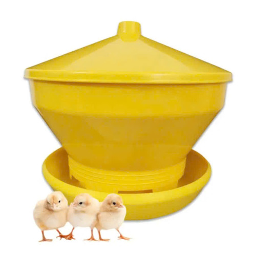 Máng Tập Ăn Cho Gà Con Máng Tập Ăn Cho Gà Con