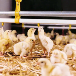 Ống Nước Nhựa Vuông