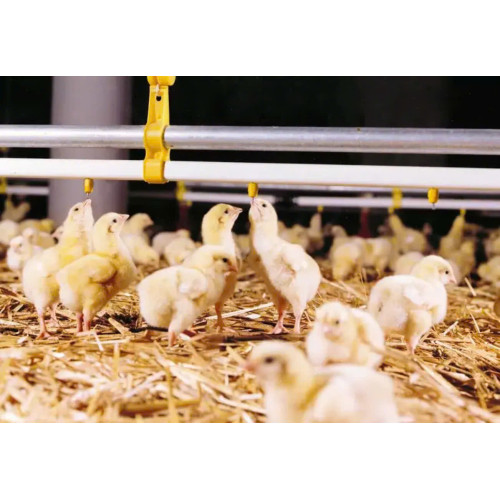 Ống Nước Nhựa Vuông