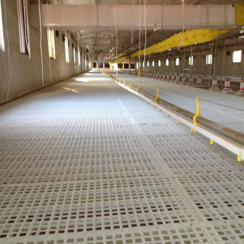 Sàn Nhựa Dành Cho Gà Vịt