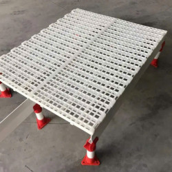 Sàn Nhựa Dành Cho Gà Vịt