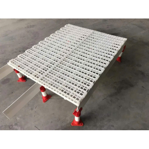 Sàn Nhựa Dành Cho Gà Vịt