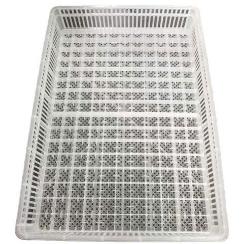 Sọt Nở Đựng Gà Con