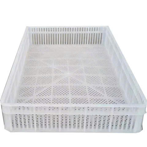 Sọt Nở Đựng Gà Con